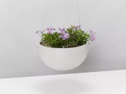 Indoor Garden Eco Hanging Baskets + Plants Combo Plant + Pot Multi Packs