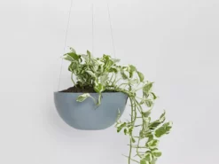 Ecopots Pots & Hanging Baskets Eco-Friendly Hanging Planters
