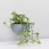Ecopots Pots & Hanging Baskets Eco-Friendly Hanging Planters