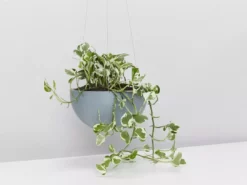 Ecopots Pots & Hanging Baskets Eco-Friendly Hanging Planters