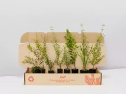 Shrubs The Edible Plants Pack