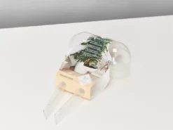 Plants In A Box Elho Aqua Care ♻️ - Watering System Transparent