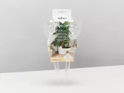 Plants In A Box Elho Aqua Care ♻️ - Watering System Transparent