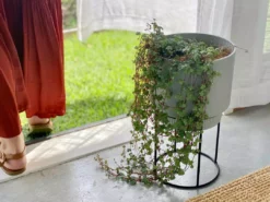 Elho Plant Stakes & Stands Eco Friendly ♻️ - Pot & Stand