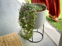 Elho Plant Stakes & Stands Eco Friendly ♻️ - Pot & Stand