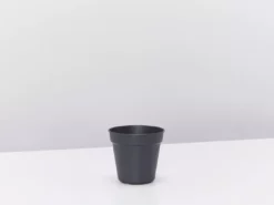 Elho Eco-Friendly Grow Pots Green Basics - Propagation Pack 9 Elho Eco-Friendly Grow Pots Green Basics - Propagation Pack