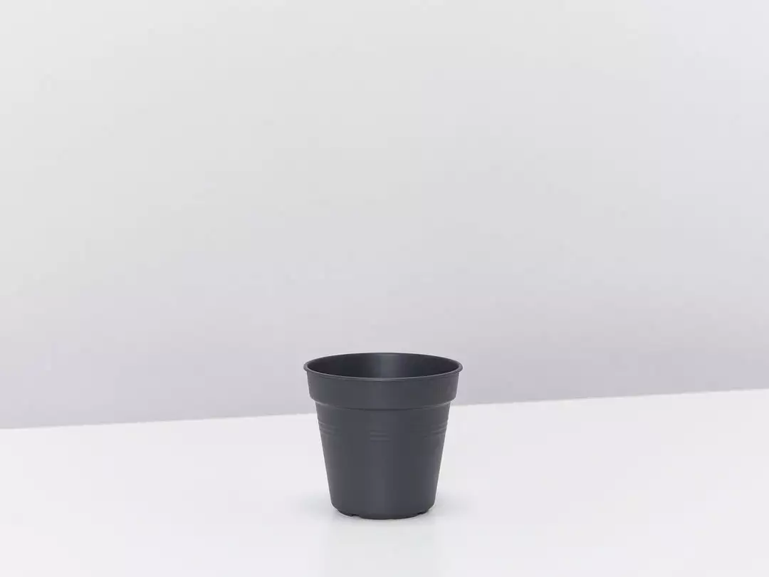 Elho Eco-Friendly Grow Pots Green Basics - Propagation Pack 6 Elho Eco-Friendly Grow Pots Green Basics - Propagation Pack