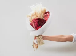 Gather Australia Housewarming Ruby Sherbert Posy In A Box 🌸