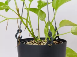 Gifts Pots & Hanging Baskets Eco-Friendly Self-Watering Hanging Basket 21 Gifts Pots & Hanging Baskets Eco-Friendly Self-Watering Hanging Basket