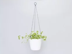 Gifts Pots & Hanging Baskets Eco-Friendly Self-Watering Hanging Basket 17 Gifts Pots & Hanging Baskets Eco-Friendly Self-Watering Hanging Basket