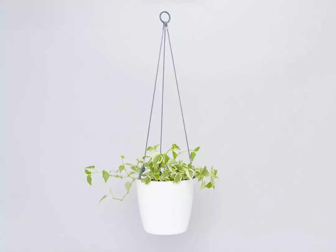 Gifts Pots & Hanging Baskets Eco-Friendly Self-Watering Hanging Basket 8 Gifts Pots & Hanging Baskets Eco-Friendly Self-Watering Hanging Basket