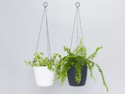 Indoor Garden Self-Watering Eco ♻️ Hanging Planter - Pot + Plant + Soil Office & Home Office