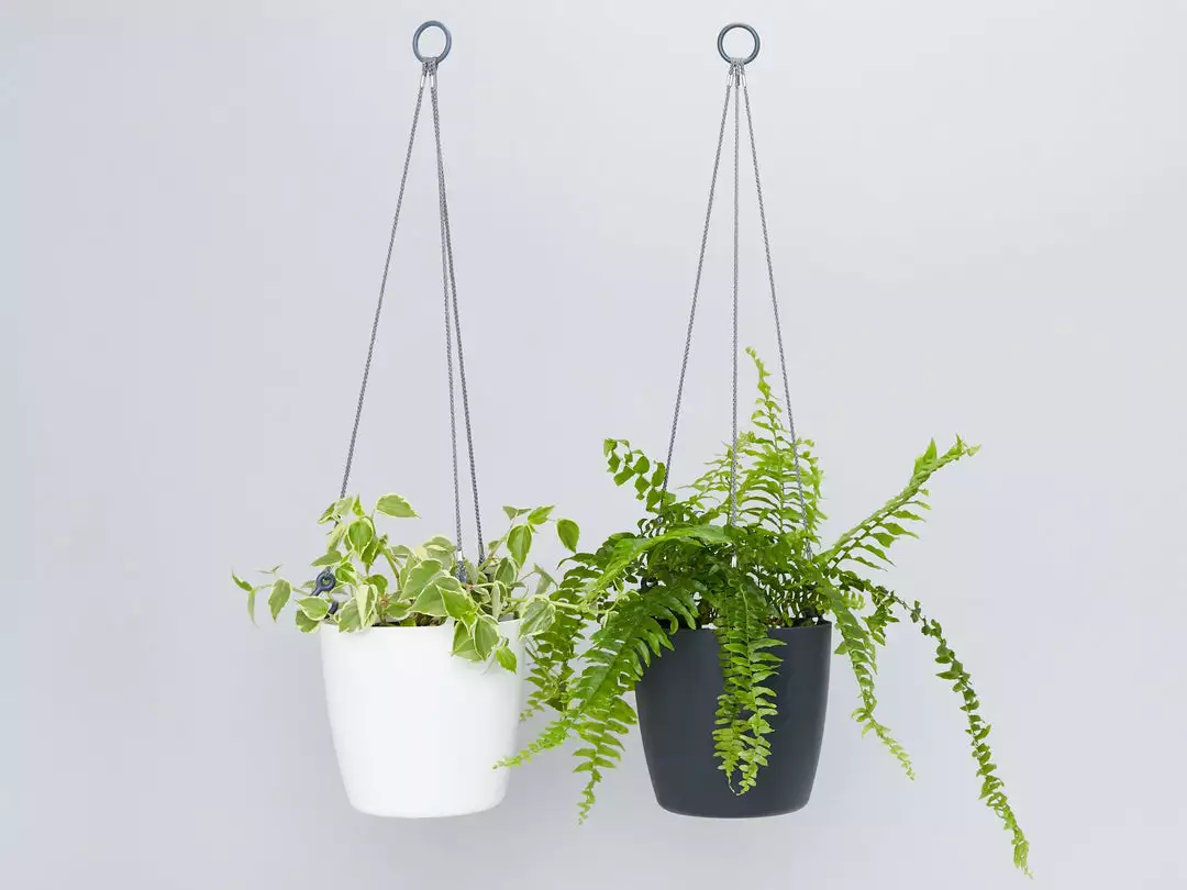 Gifts Pots & Hanging Baskets Eco-Friendly Self-Watering Hanging Basket 4 Gifts Pots & Hanging Baskets Eco-Friendly Self-Watering Hanging Basket