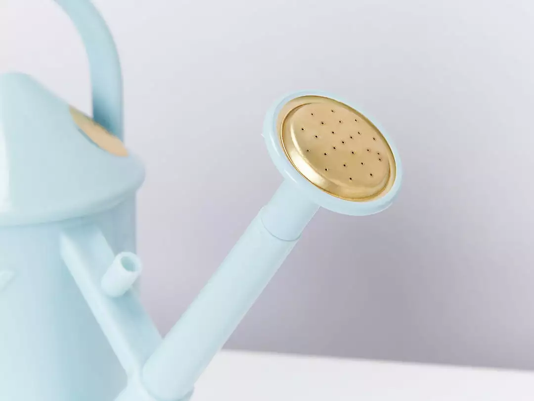 Quality Products Heritage ♻️ Watering Can - Blue Or Green 10 Quality Products Heritage ♻️ Watering Can - Blue Or Green