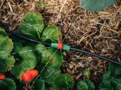 Hoselink Mini Sprinkler Kit