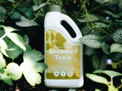 Hoselink Courtyard Gardener Pack With Hose Reel