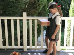 Indoor Garden The Teachers Classroom Houseplant Pack 31 Indoor Garden The Teachers Classroom Houseplant Pack