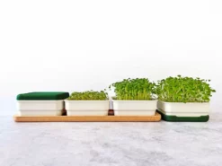 Micropod Continuous Grow Kit Gift Kits