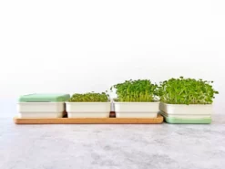 Micropod Continuous Grow Kit Gift Kits