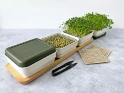 Micropod Continuous Grow Kit Gift Kits