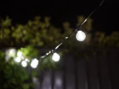 Hoselink Cool White Solar Party Bulb String Lights - 25 Bulb Starter Set Outdoor Accessories