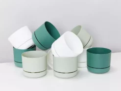 Indoor Garden Mr Kitly 8 Houseplants & 8 Pots - Pet-Friendly Edition Pet-friendly Indoor Plants