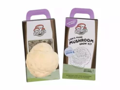 Little Acre Gourmet Mushrooms Lion's Mane Mushroom Grow Kit Gift Kits