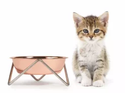 Bendo Lux Cat Bowls - Mix 'n' Match 61 Bendo Lux Cat Bowls - Mix 'n' Match