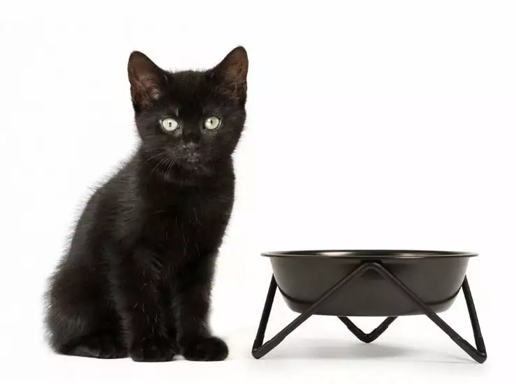 Bendo Lux Cat Bowls - Mix 'n' Match 5 Bendo Lux Cat Bowls - Mix 'n' Match