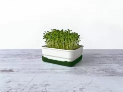 Micropod Mini Starter Kit