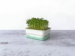 Micropod Mini Starter Kit