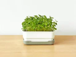 Micropod Mini Starter Kit