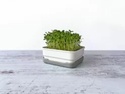 Micropod Mini Starter Kit