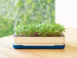 Micropod Starter Kit Gift Kits