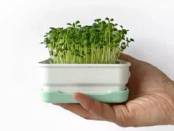 Micropod Mini Starter Kit