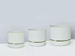 Indoor Garden Mr Kitly 3 Plants & 3 Assorted Sized Pots Plant Packs