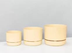 Indoor Garden Mr Kitly 3 Plants & 3 Assorted Sized Pots Plant Packs