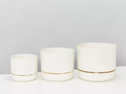 Indoor Garden Mr Kitly 3 Plants & 3 Assorted Sized Pots Plant Packs