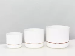 Indoor Garden Mr Kitly 3 Plants & 3 Assorted Sized Pots Plant Packs