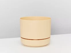 Indoor Garden 8 Bundle Box 📦 - Includes Plants,Pots & Soil