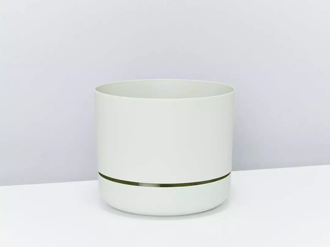 Indoor Garden Mr Kitly 8 Houseplants & 8 Pots 14 Indoor Garden Mr Kitly 8 Houseplants & 8 Pots