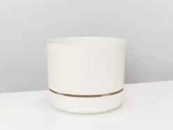 Indoor Garden Pet-friendly Indoor Plants Mr Kitly 6 Houseplants & 6 Pots - Pet-Friendly Edition 27 Indoor Garden Pet-friendly Indoor Plants Mr Kitly 6 Houseplants & 6 Pots - Pet-Friendly Edition