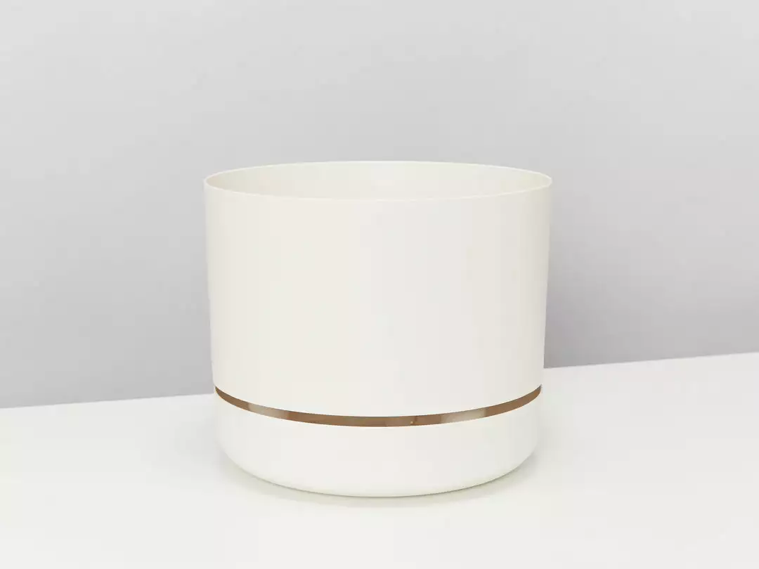 Indoor Garden Pet-friendly Indoor Plants Mr Kitly 6 Houseplants & 6 Pots - Pet-Friendly Edition 14 Indoor Garden Pet-friendly Indoor Plants Mr Kitly 6 Houseplants & 6 Pots - Pet-Friendly Edition