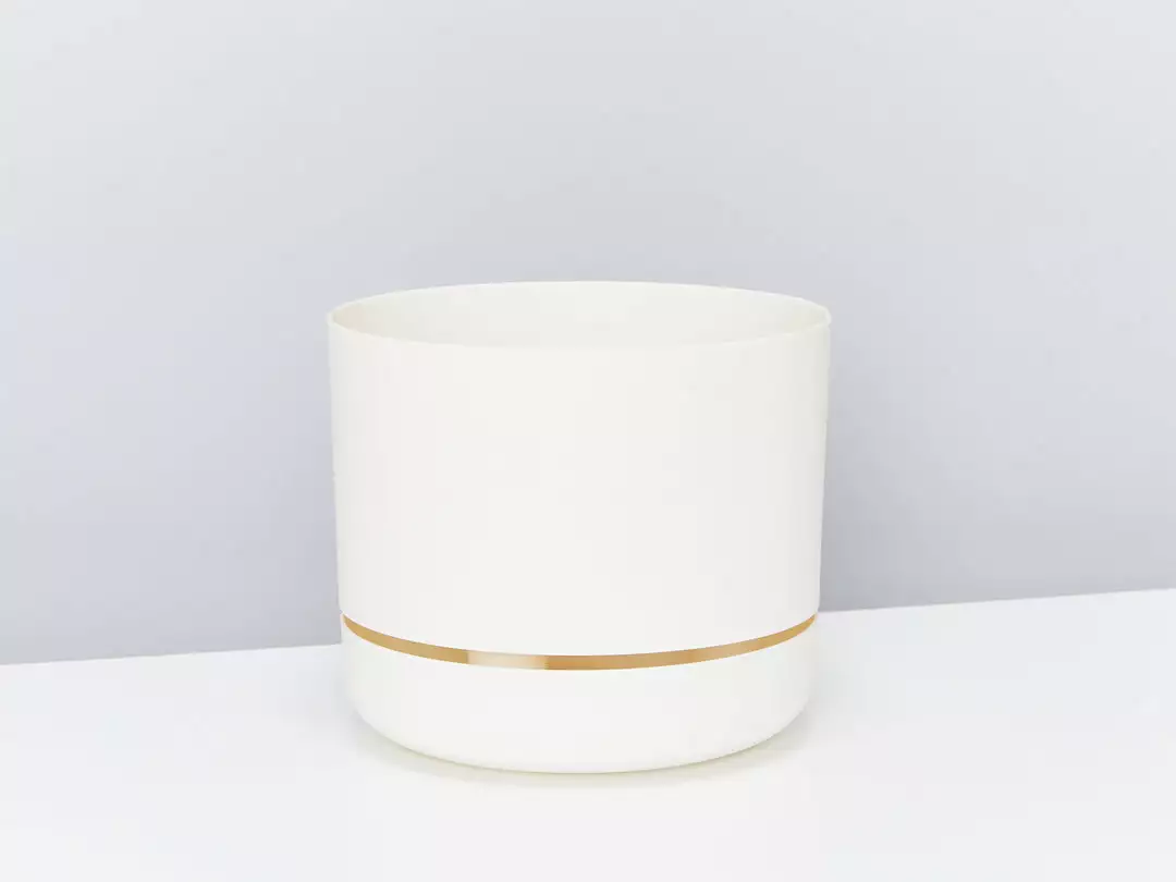 Indoor Garden Mr Kitly 8 Houseplants & 8 Pots 16 Indoor Garden Mr Kitly 8 Houseplants & 8 Pots