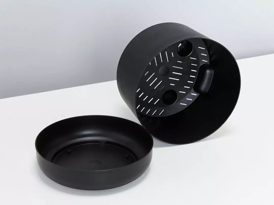 Indoor Garden Snake Plants Sansevieria Trifasciata Moonshine With Pot Option 8 Indoor Garden Snake Plants Sansevieria Trifasciata Moonshine With Pot Option