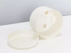 Indoor Garden Snake Plants Sansevieria Trifasciata Moonshine With Pot Option 13 Indoor Garden Snake Plants Sansevieria Trifasciata Moonshine With Pot Option