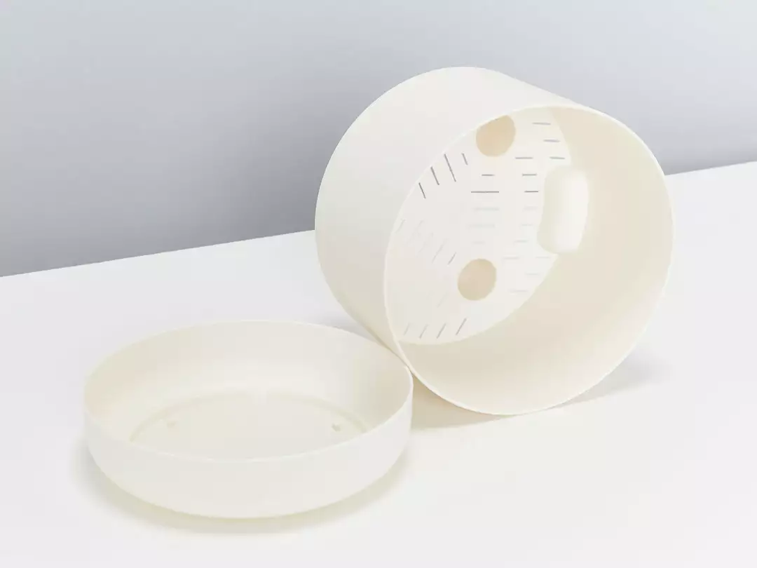 Indoor Garden Snake Plants Sansevieria Trifasciata Moonshine With Pot Option 7 Indoor Garden Snake Plants Sansevieria Trifasciata Moonshine With Pot Option