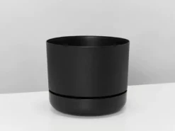 Indoor Garden Mr Kitly 3 Plants & 3 Pots - 215mm 17 Indoor Garden Mr Kitly 3 Plants & 3 Pots - 215mm