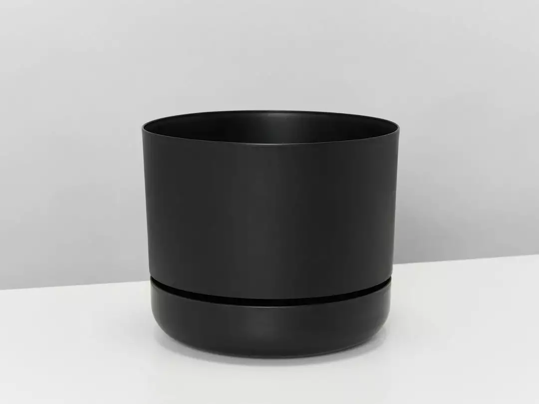 Indoor Garden Mr Kitly 3 Plants & 3 Pots - 215mm 6 Indoor Garden Mr Kitly 3 Plants & 3 Pots - 215mm