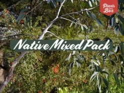 Shrubs Native Mixed Pack